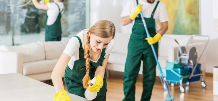 Everything You Need to Know About Cleaning Services