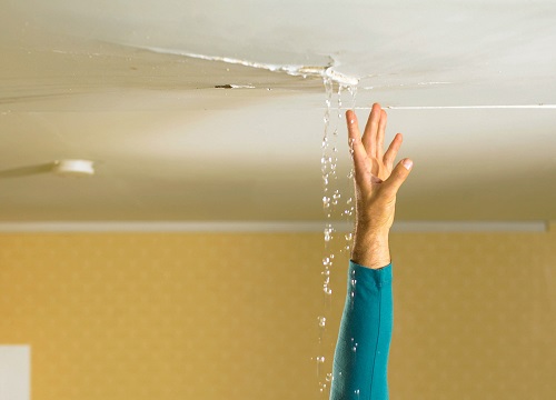 What To Do Immediately If You Notice Your Ceiling Leaking Expert